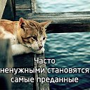 ���� Lena, �������� - ��������� 6 ��� 2018 � ������ ���� ����������