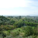 ������ ,,,�� ���������,,, �� ������� ���� ����������