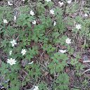 ����� . �� ������� ���� ����������