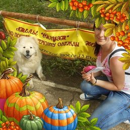 ���� �����, ���������, 43 ���� - ��������� 8 ������ 2018