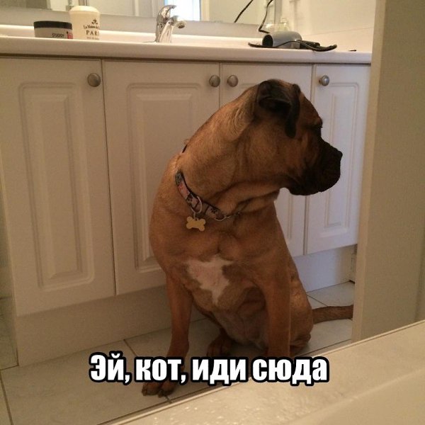    ,     - 2