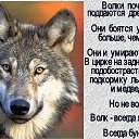 ���� �������, ����������, 52 ���� - ��������� 5 ������ 2018 � ������ ������ ��������