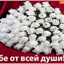 ���� ������, ��������, 75 ��� - ��������� 8 ���� 2018 � ������ ���� ����������