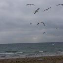 ���� �������, ���������, 57 ��� - ��������� 20 ������ 2018 � ������ ���� ����������