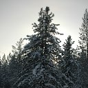 ���� �������������, �����, 53 ���� - ��������� 28 ���� 2018 � ������ ���� ����������