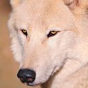 ���� �������, ������������, 46 ��� - ��������� 22 ������ 2017 � ������ ���� ����������