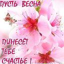 ���� ������, �������� - ��������� 1 ����� 2018 � ������ ������ ��������