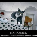  Ѹ, , 40  -  13  2018    