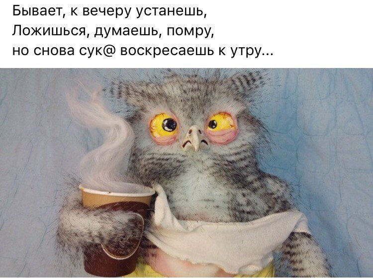   - 13  2017  03:49
