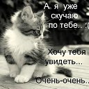 ���� ����&, ������ - ��������� 1 ������� 2017 � ������ ������ ��������