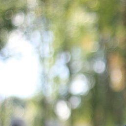 ʸ��� �����, �����������, 46 ���