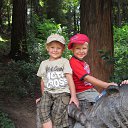 ���� �������, ���������, 48 ��� - ��������� 27 ������ 2017