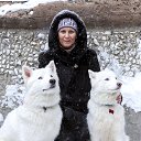 ���� ����, ����������� - ��������� 1 ������� 2018 � ������ ���� ����������