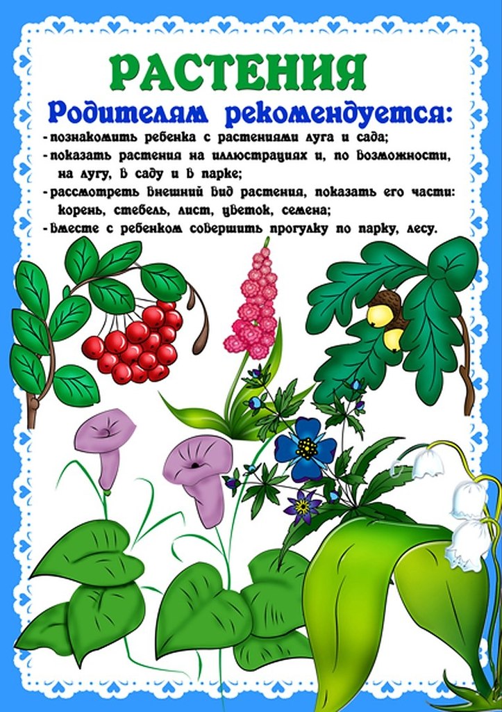 Все про лето папки передвижки картинки для детского сада