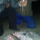 ���� ����, �����, 43 ���� - ��������� 13 ��� 2018 � ������ ���� ����������