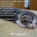 ���� ������, ���������, 62 ���� - ��������� 5 ������ 2018 � ������ ������ ��������