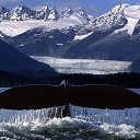 ���� ���������, �����������, 57 ��� - ��������� 16 ����� 2018 � ������ ���� ����������