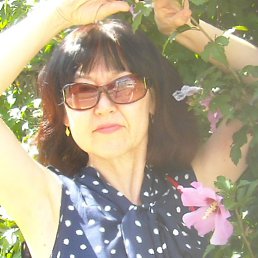 ���� ������, ��� - ��������� 15 ��� 2018