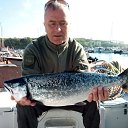 ���� ������, �����������, 58 ��� - ��������� 4 ���� 2018 � ������ ���� ����������