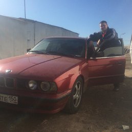 �����, ������, 33 ����