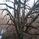 �������. ����. ����������� ��������. �� ������� ������