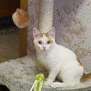 ���� ������, ������, 56 ��� - ��������� 9 ������� 2018 � ������ ���� ����������