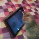  , -, 50  -  27  2018