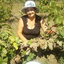 ���� �����, �������, 64 ���� - ��������� 7 ����� 2018 � ������ ���� ����������