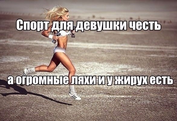SportFeed - 8  2018  03:39