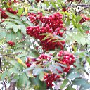 ���� �������, ���������, 66 ��� - ��������� 1 ������� 2018