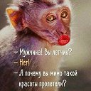 ���� �������, �����-���������, 44 ���� - ��������� 24 ������� 2018