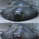 ���� ������, ���������� ����� - ��������� 12 ������� 2018 � ������ ������ ��������