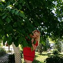 ���� �������, ����� - ��������� 16 ���� 2018 � ������ ���� ����������