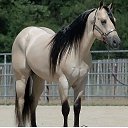 ���� ����, �����������, 40 ��� - ��������� 18 ������ 2018 � ������ ���� ����������