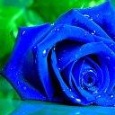 ���� Zita ***, �������, 51 ��� - ��������� 4 ���� 2018 � ������ ���� ����������