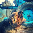 ���� ���������, ���������, 33 ���� - ��������� 4 ������ 2018 � ������ ���� ����������