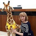 ���� �������, ��������� - ��������� 25 ������ 2017 � ������ ���������� ������