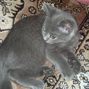 ���� ����, ����������, 77 ��� - ��������� 5 ������ 2018 � ������ ���� ����������