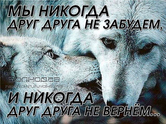 Не теряйте любимых - Звоните, Говорите о чувствах своих, О любви, о мечте говорите: Как Вы цените ...