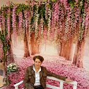 ���� �����, �������� - ��������� 9 ����� 2018 � ������ ���� ����������