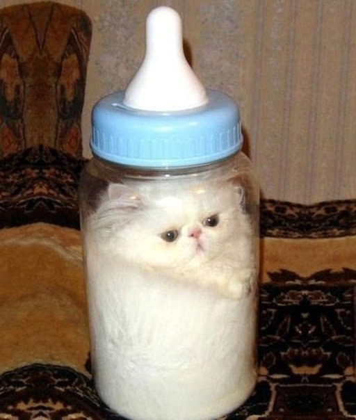 ���������� ������ ��������, ��� ����, �� ����� ���� � ��������. - 6