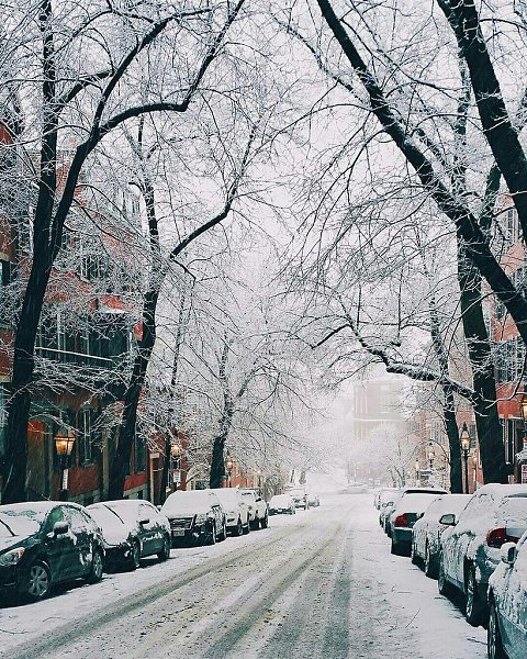 Boston, Massachusetts, USA - 7