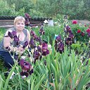 ���� �������, ������, 59 ��� - ��������� 24 ���� 2018 � ������ ���� ����������