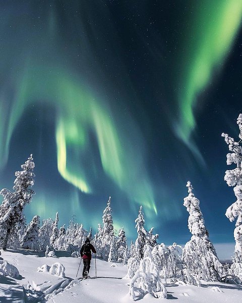 Зимняя сказка в Лапландии.А вы любите зиму? Фото: Ville Pkknen