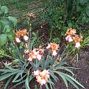 ���� ������, ���������-�������, 57 ��� - ��������� 18 ��� 2018 � ������ ������