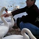  Sergii,  -  28  2017    