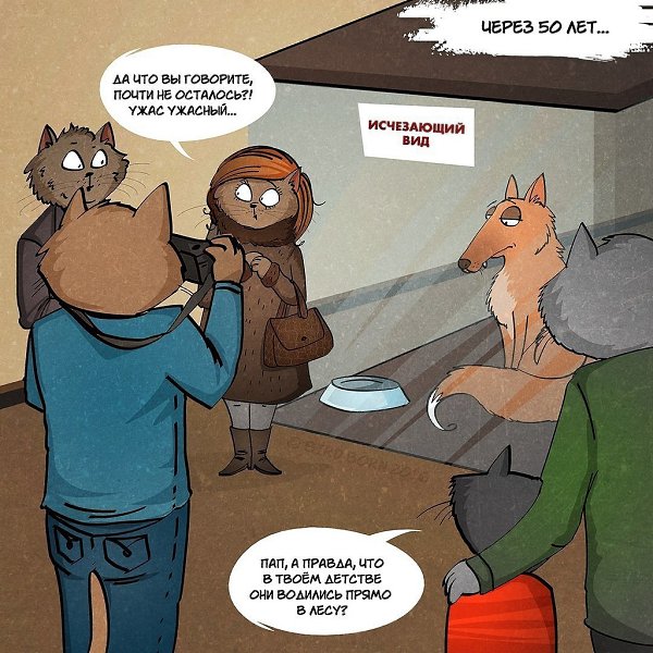 �� ���������� � ������... �����: Bird Born #����������@ican - 6