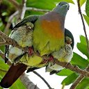 ���� ������, ������ - ��������� 11 ������ 2018 � ������ ���� ����������