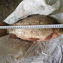 ���� ������, ��������, 65 ��� - ��������� 13 ���� 2018 � ������ ���� ����������