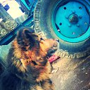 ���� ���������, ���������, 33 ���� - ��������� 4 ������ 2018 � ������ ���� ����������